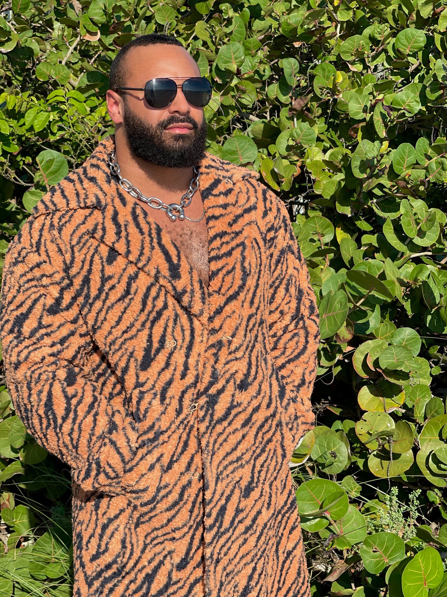 Wild Tiger Coat