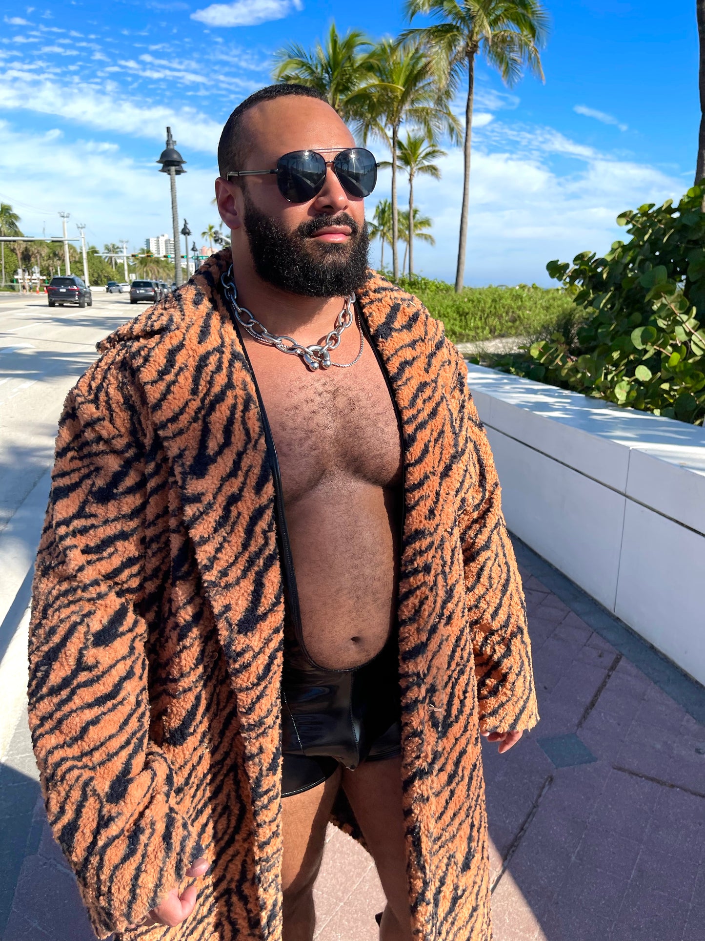 Wild Tiger Coat