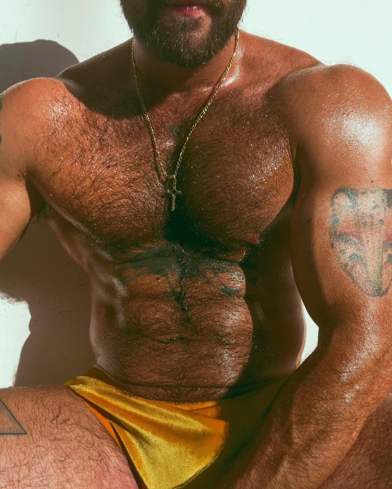 Gold Velvet Brief